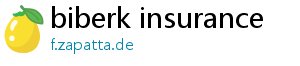 biberk insurance